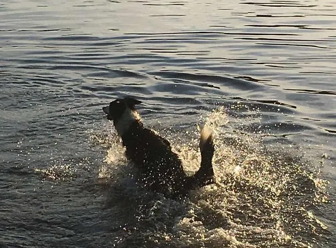 Na Kaszubach Σπίτι διακοπών *